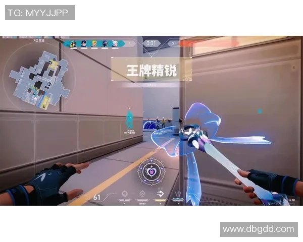 战队日常生活与训练全景记录带你领略无畏契约的精彩瞬间